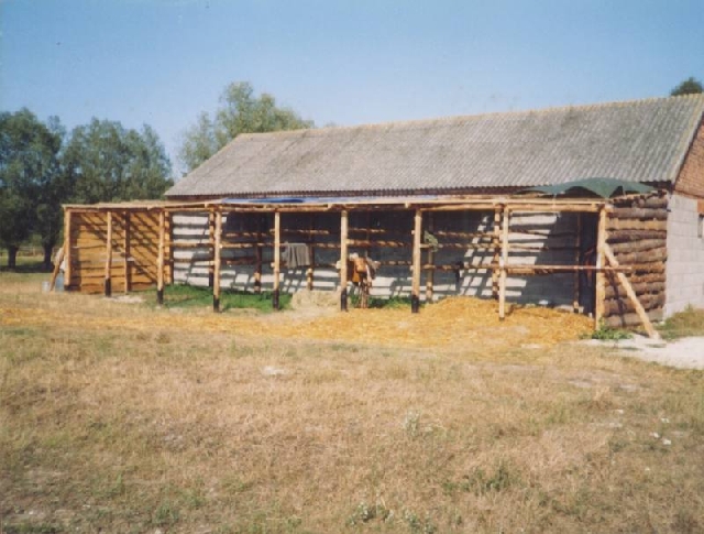 Original image